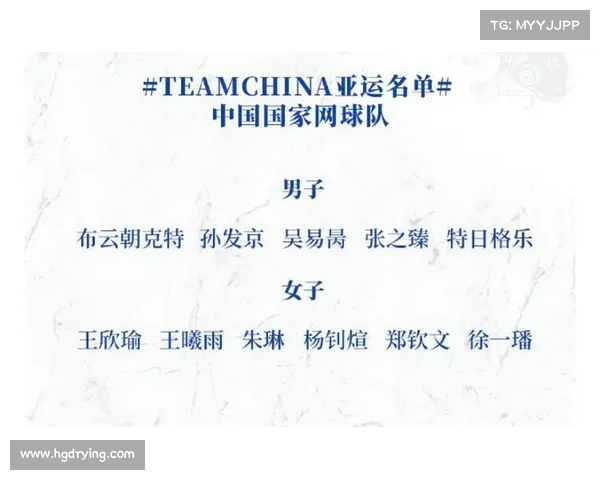 网球比赛队员名单及各国选手阵容详细分析与预测 网球比赛队员名单及各国选手阵容详细分析与预测
