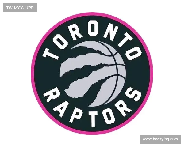 以NBA队徽为核心探讨球队文化与视觉设计的独特魅力与意义 以NBA队徽为核心探讨球队文化与视觉设计的独特魅力与意义