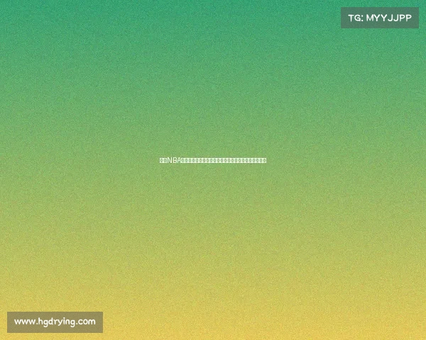 聚焦NBA外线投手发展历程与影响力分析探索新时代三分球革命